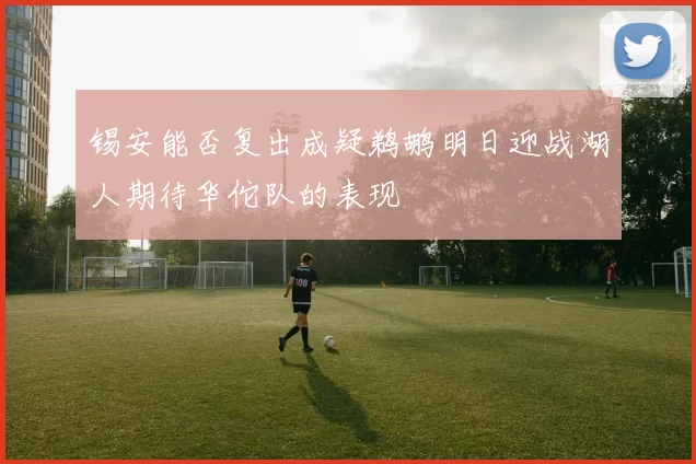 锡安能否复出成疑鹈鹕明日迎战湖人期待华佗队的表现