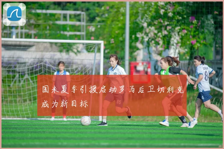 国米夏季引援启动罗马后卫切利克成为新目标
